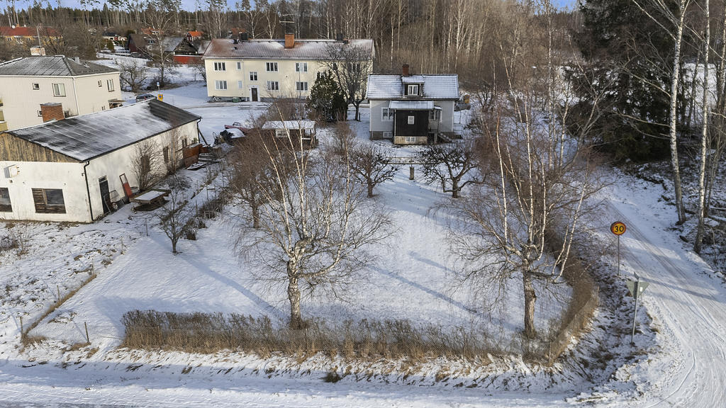 Trädgård med träd och buskar