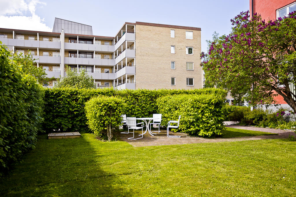 Föreningens gemensamma innergård.