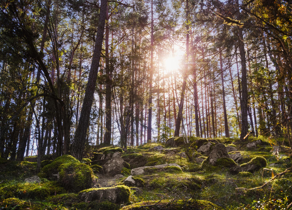 Härlig natur