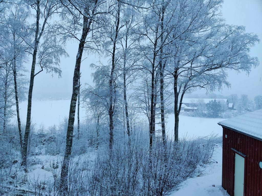 Vacker vinterbild sett från köksfönstret