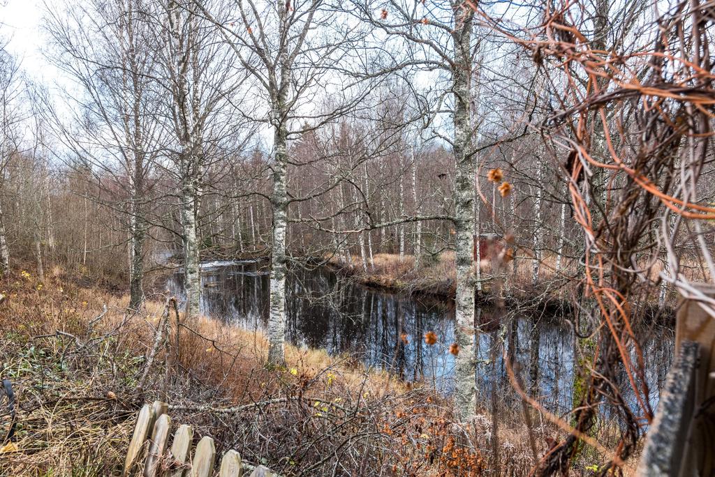 Älven bakom fastigheten