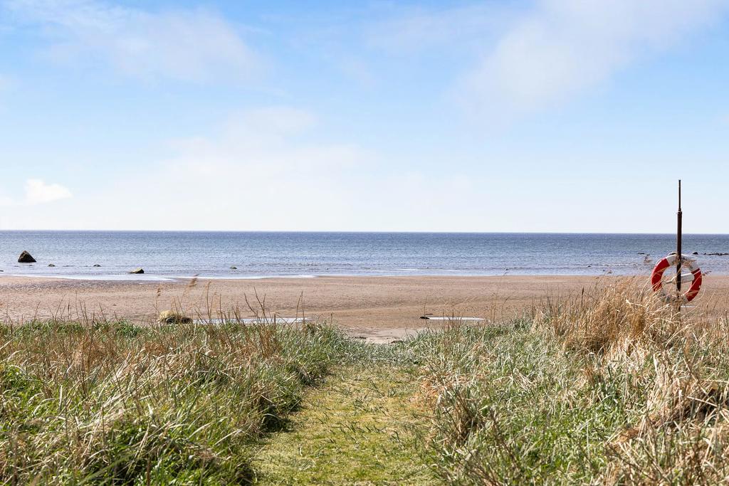 Bild från områdets strand