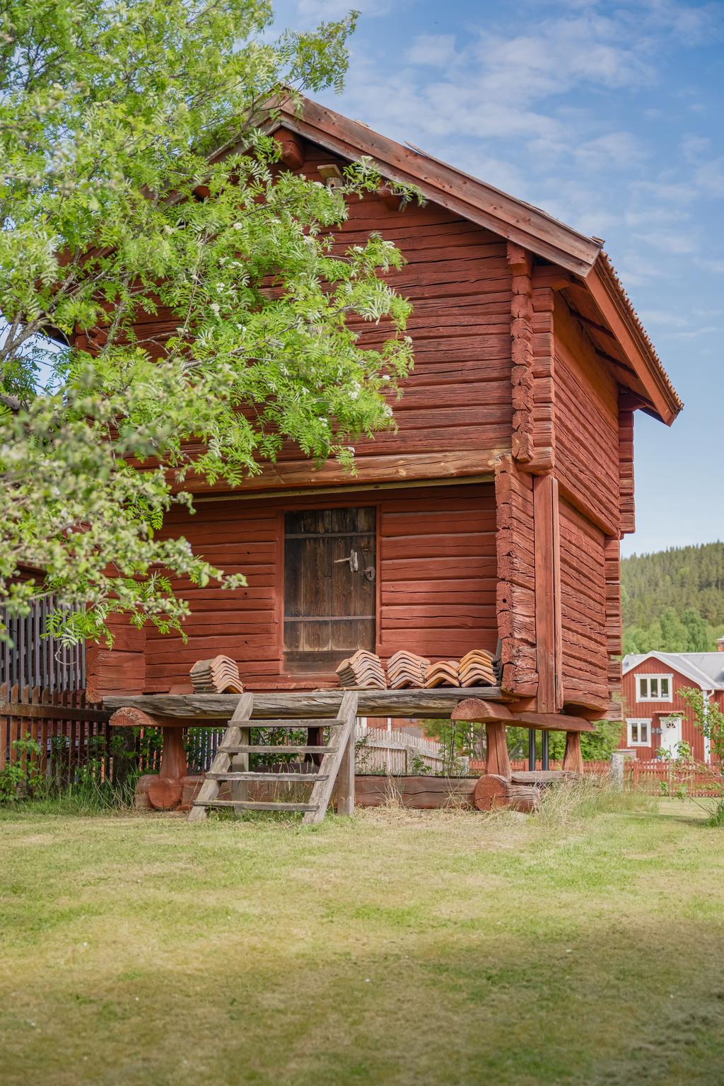 Härbre på gården