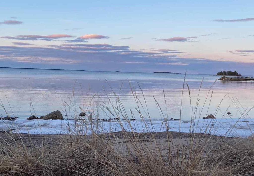 Säljarens bild
