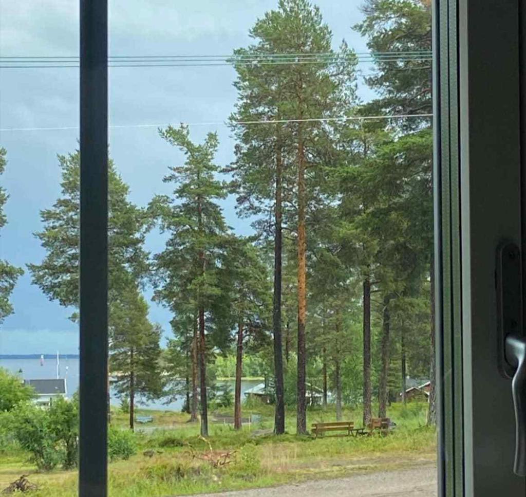 Säljarens bild