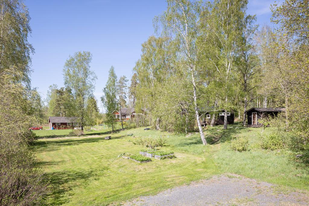Trädgård