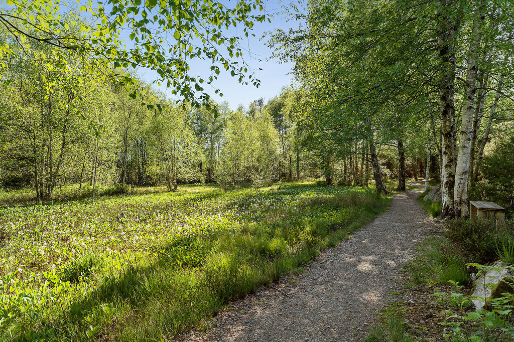 I närområdet kan du njuta av denna ljuvliga natur.