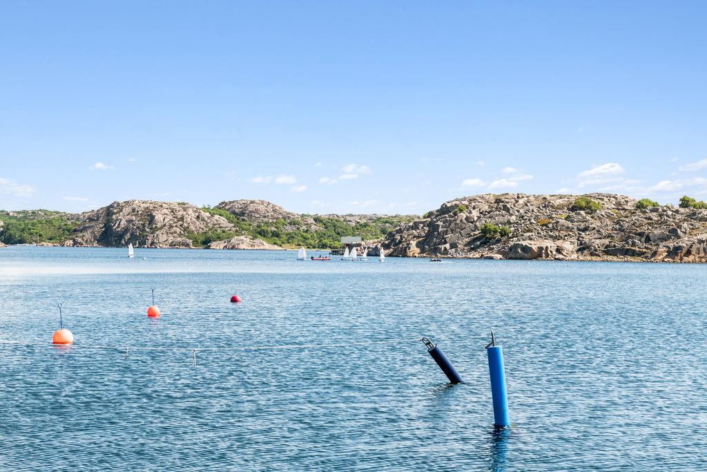 En vacker syn för ögat en sommardag 