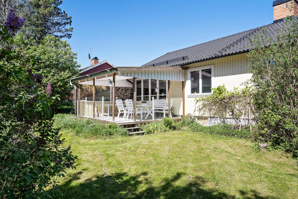 Trädgård