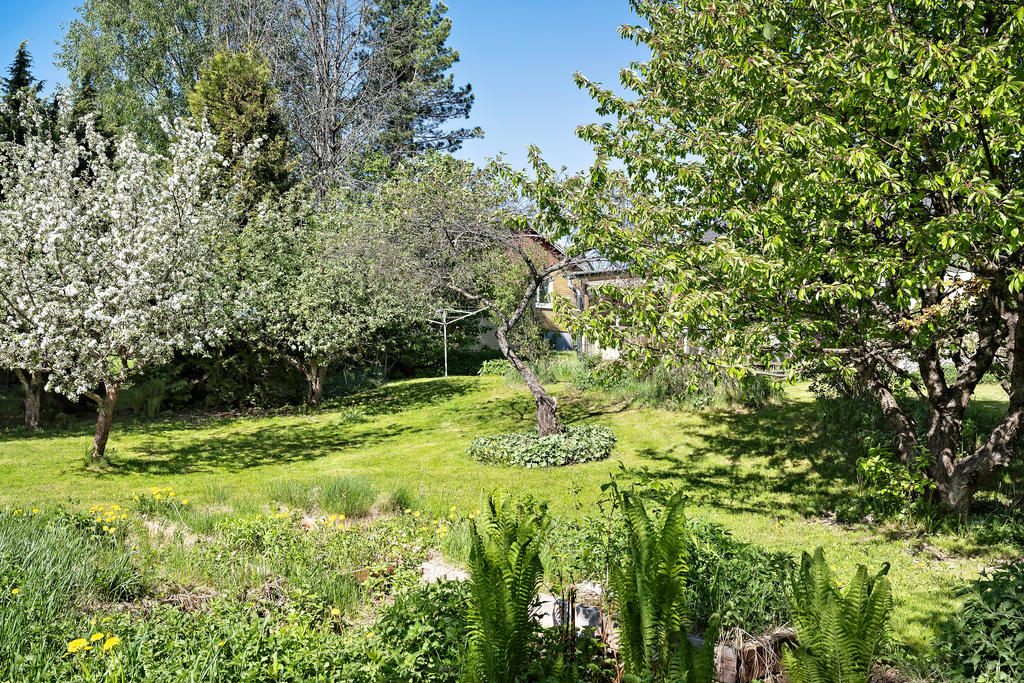 Trädgård