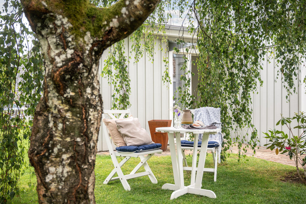 En skuggig plats under hängbjörken.