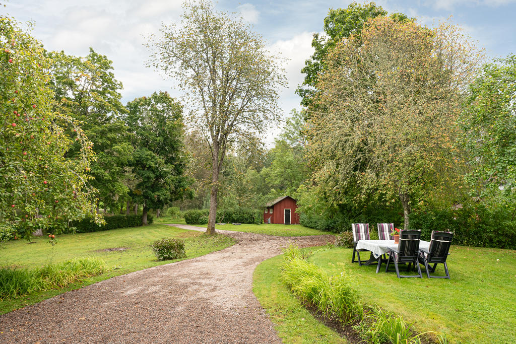 Lummig trädgård med fina planteringar. 