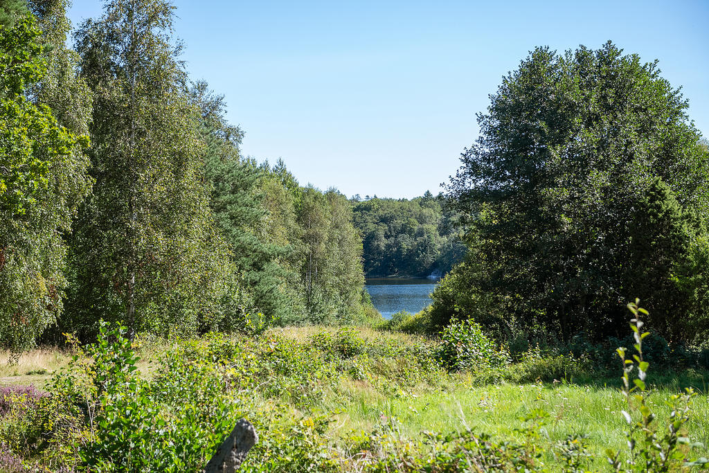 Havsglimt från fastigheten