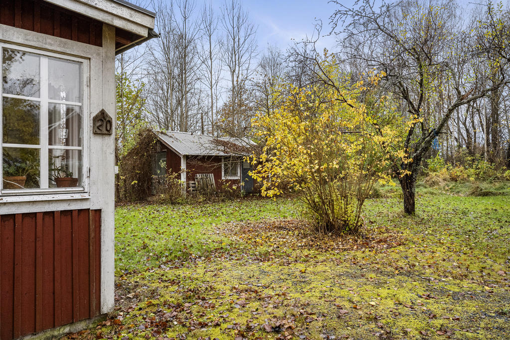 Trädgård samt uthus