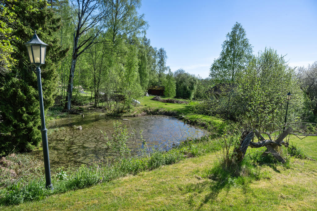 Trädgård med en damm