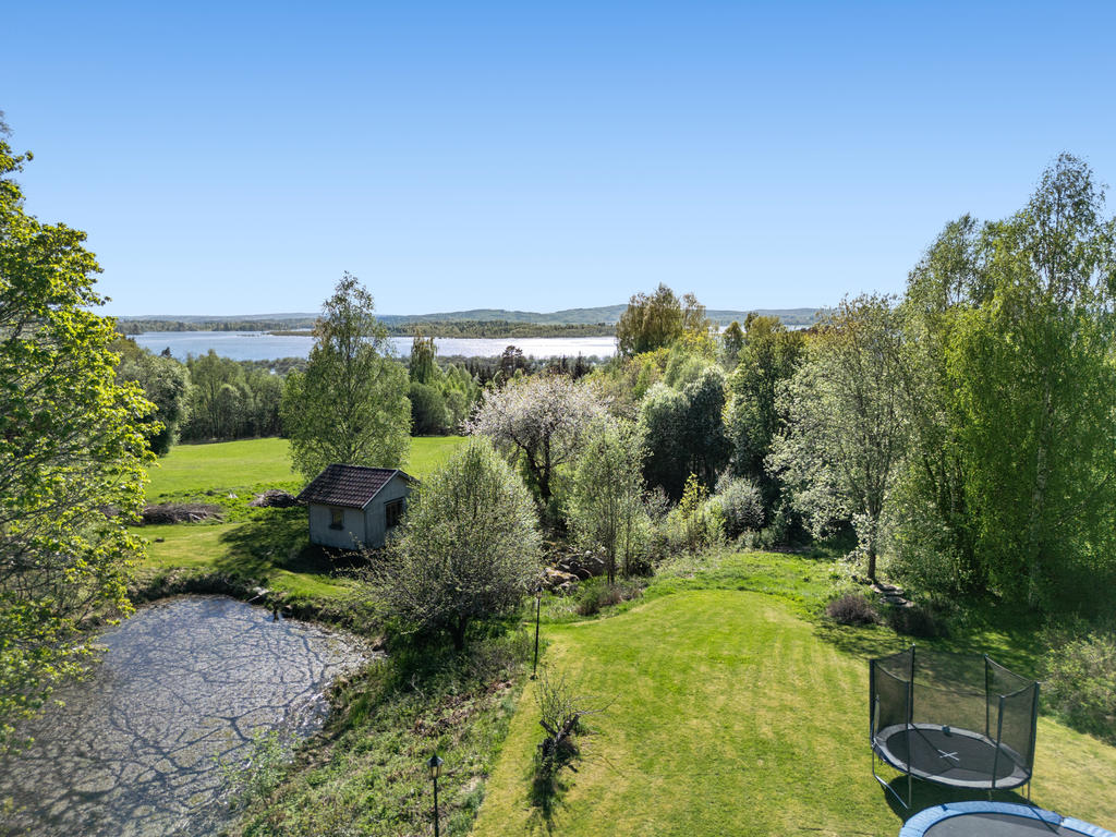 Trädgård