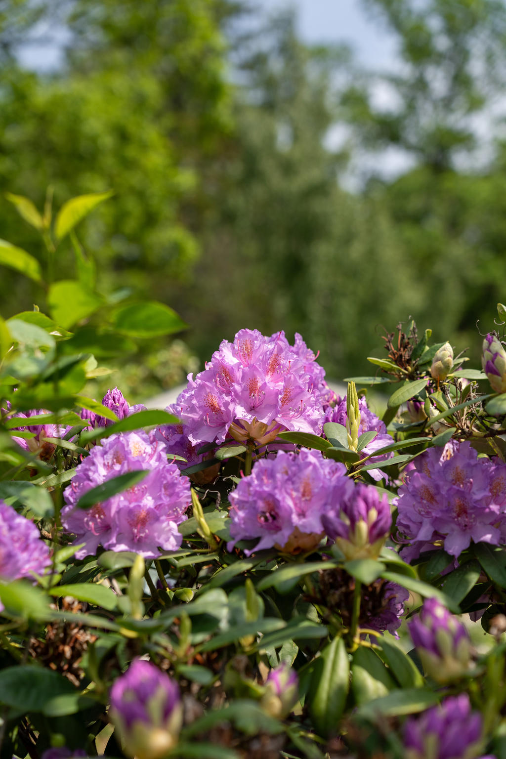 Detaljbild