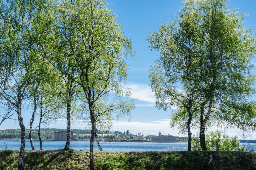 Områdesbild