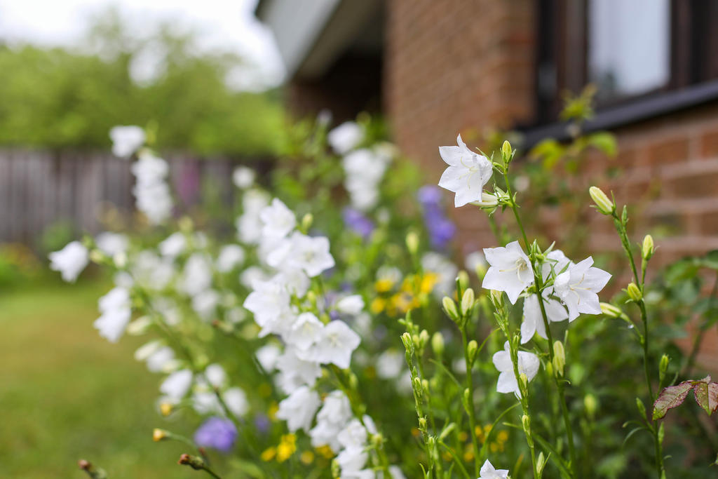 Lättskött hus med trädgård för odling och plantering på lagom nivå.