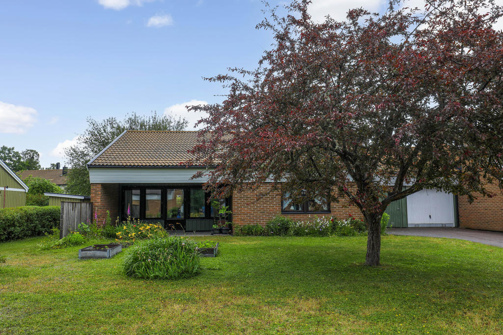 Trädet på framsidan ger skugga och blommar fantastiskt vackert på våren!