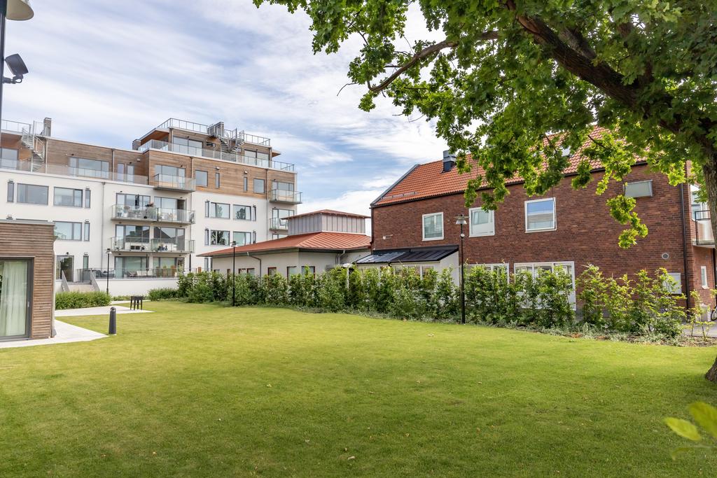 Gården på baksidan