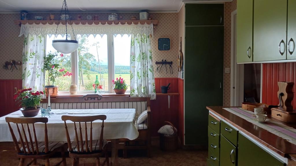Kök med fin utsikt (säljarens egen bild)