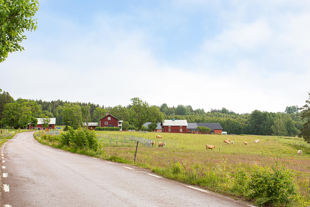 Lantlig miljö