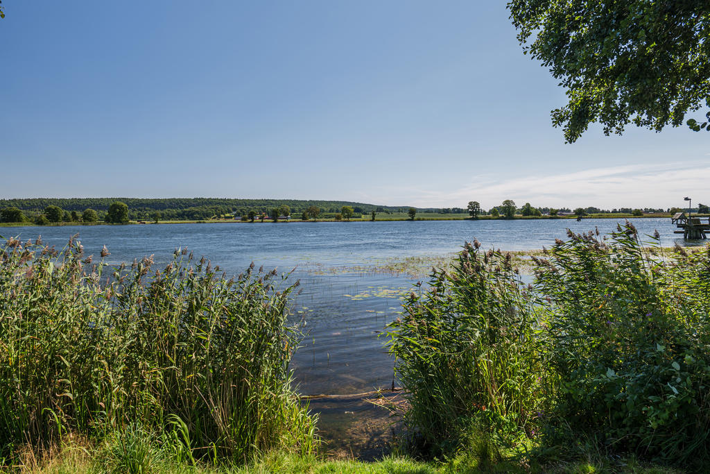 Älven
