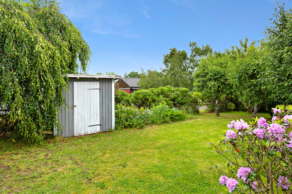 Grönska och dofter i den egen trädgård