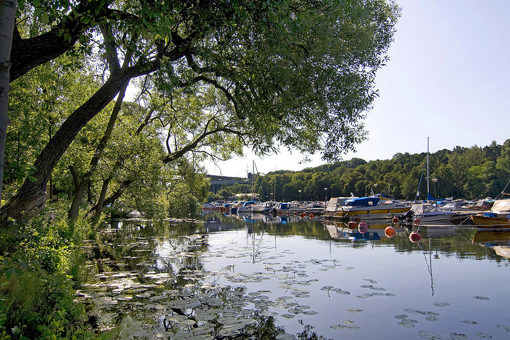 Årstaviken 