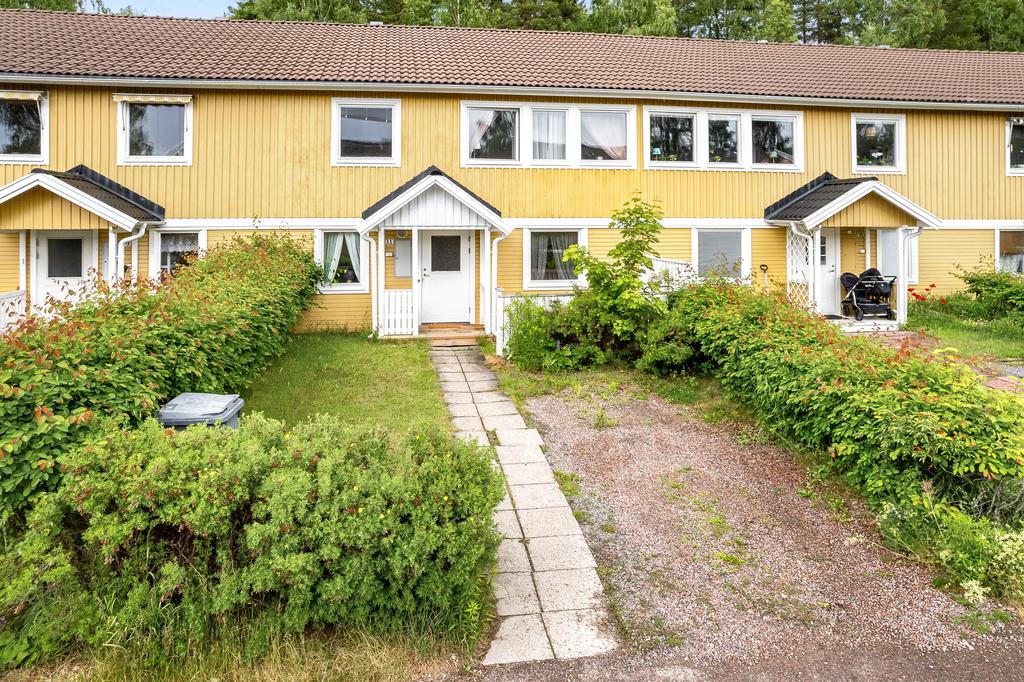 Välkommen till Blåbärsstigen 11!