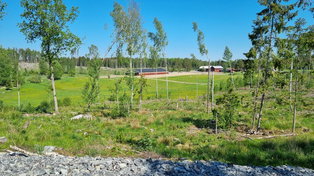 Vyn mot Björkängs gård från tomt 3:14