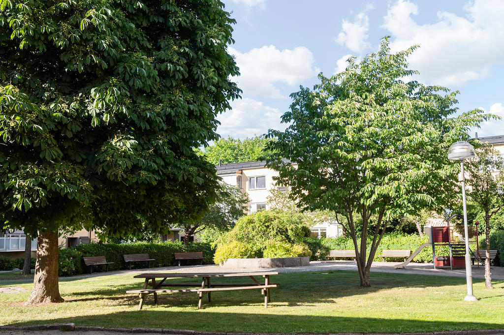 Föreningens innergård