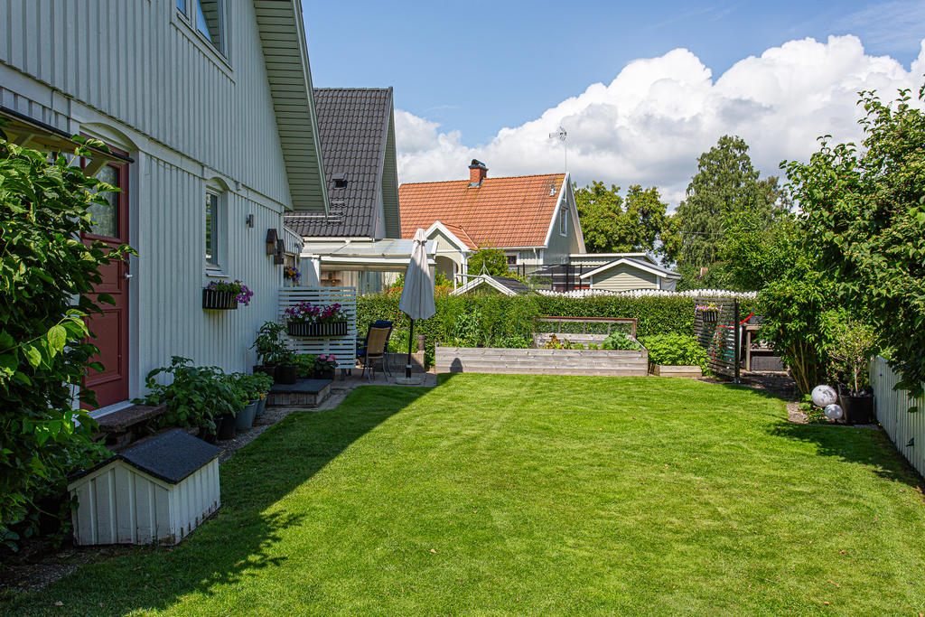 Trädgård åt öster