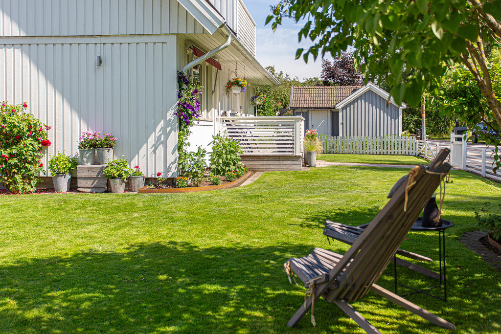 Trädgård