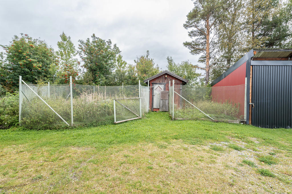 hund-/hönsgård