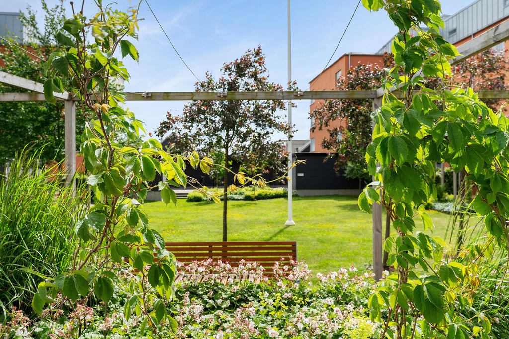 En härlig parkkänsla 