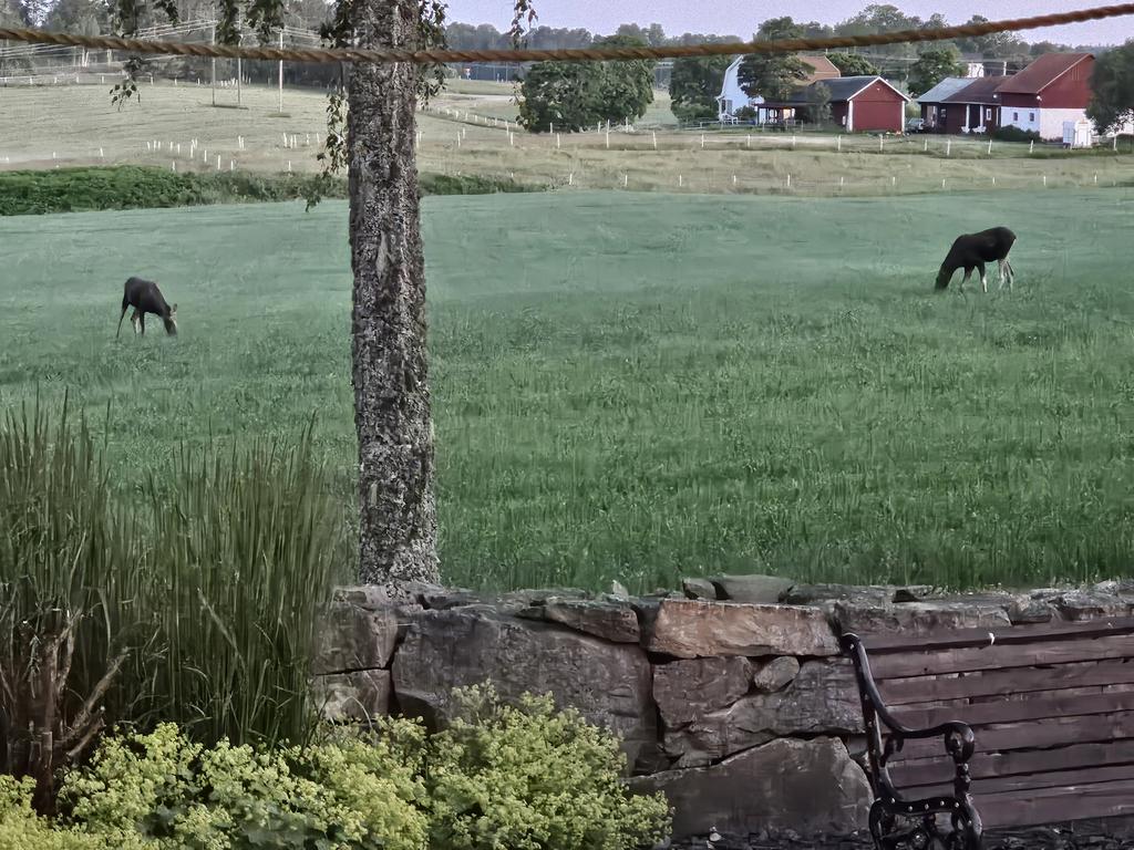 Säljarens egna bilder 