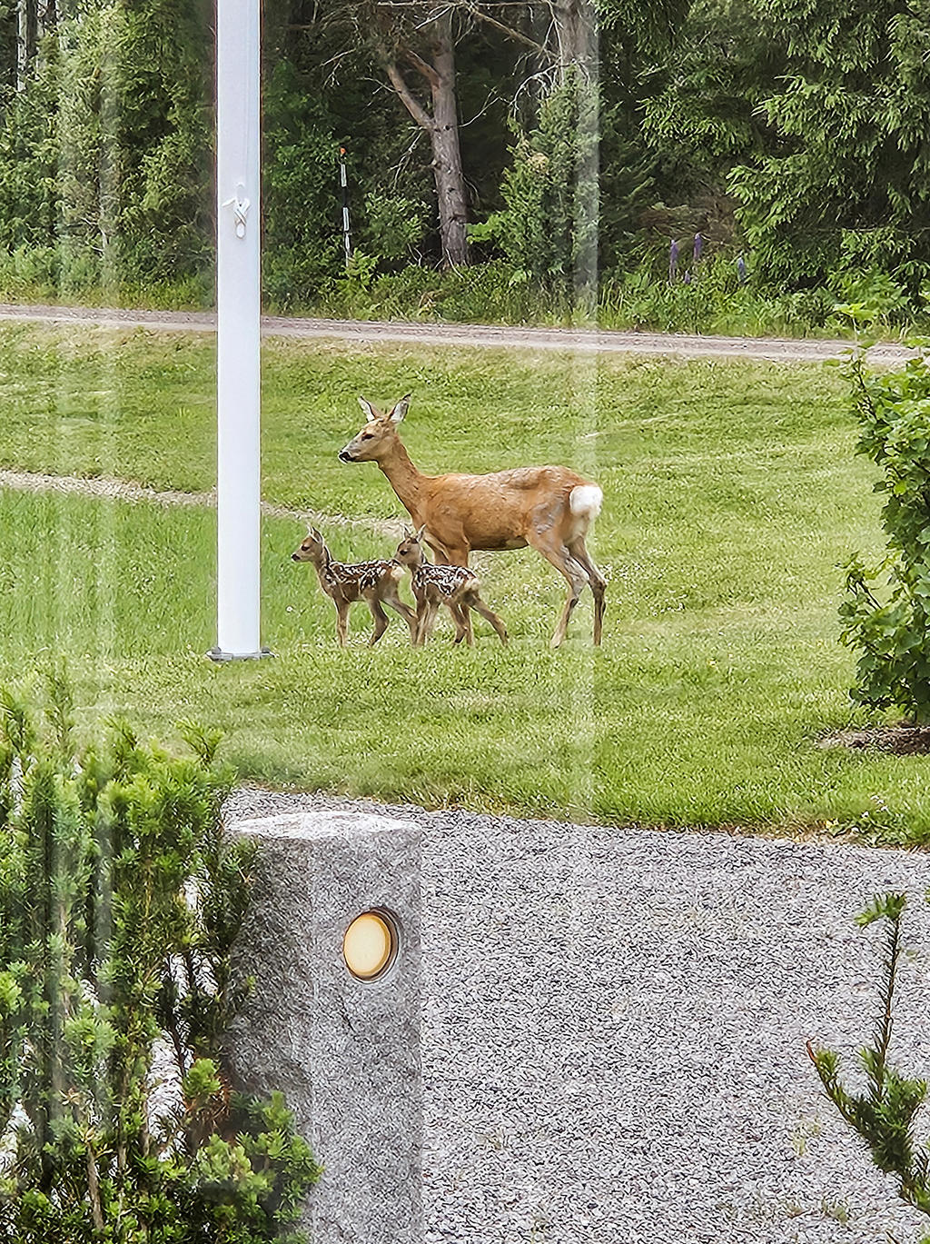 Säljarens egna bilder 