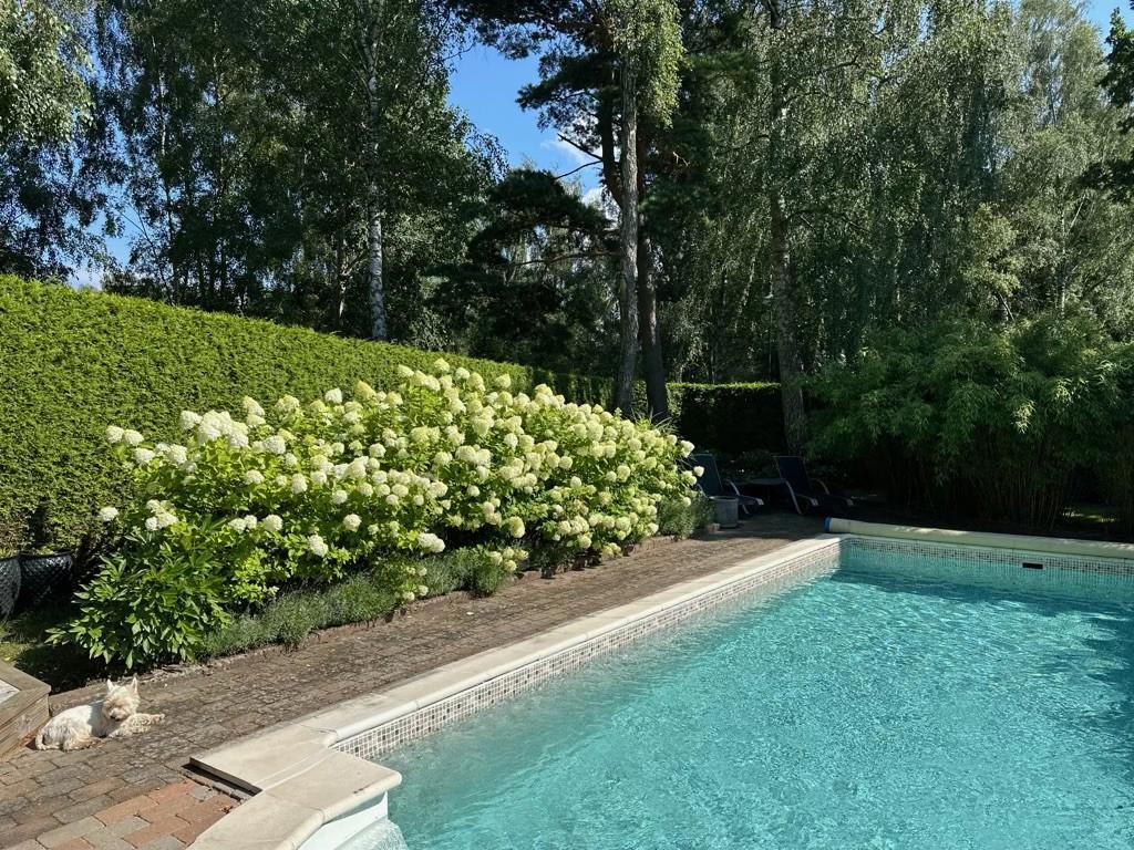Säljarens egna sommarbild