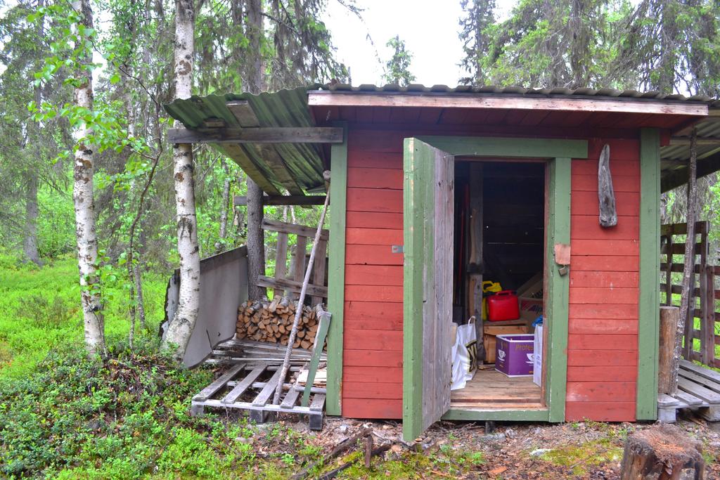 Exteriör