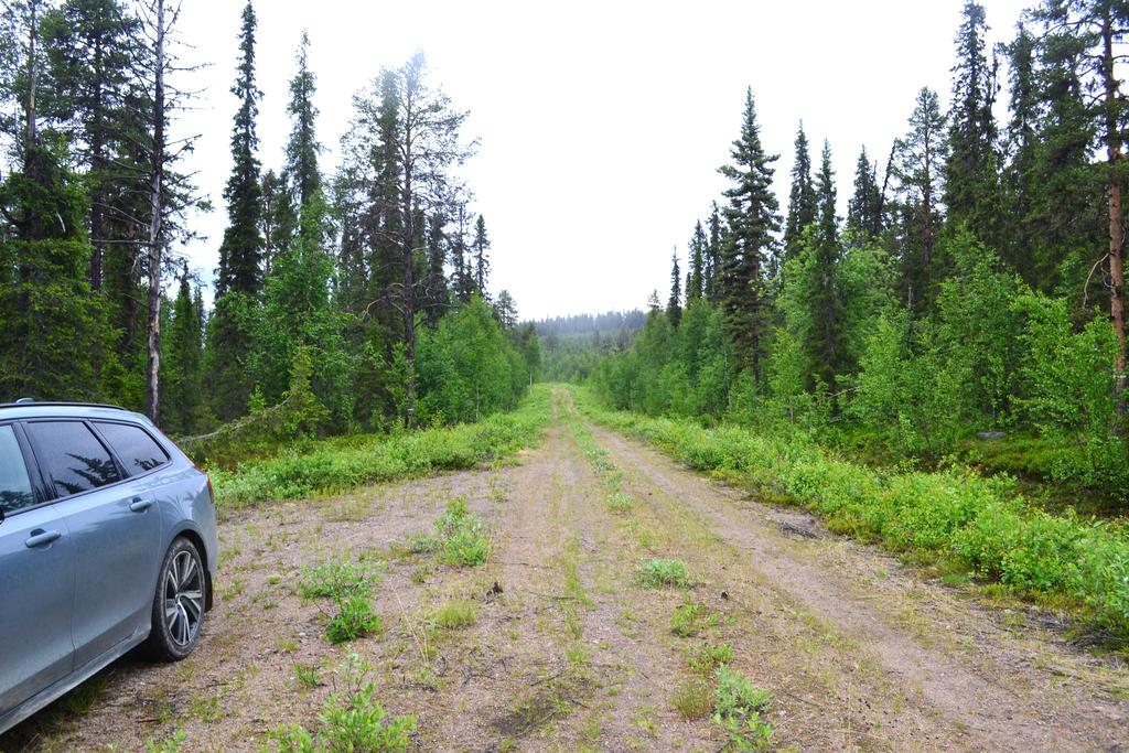 Bilväg till stigen ca 300m att gå