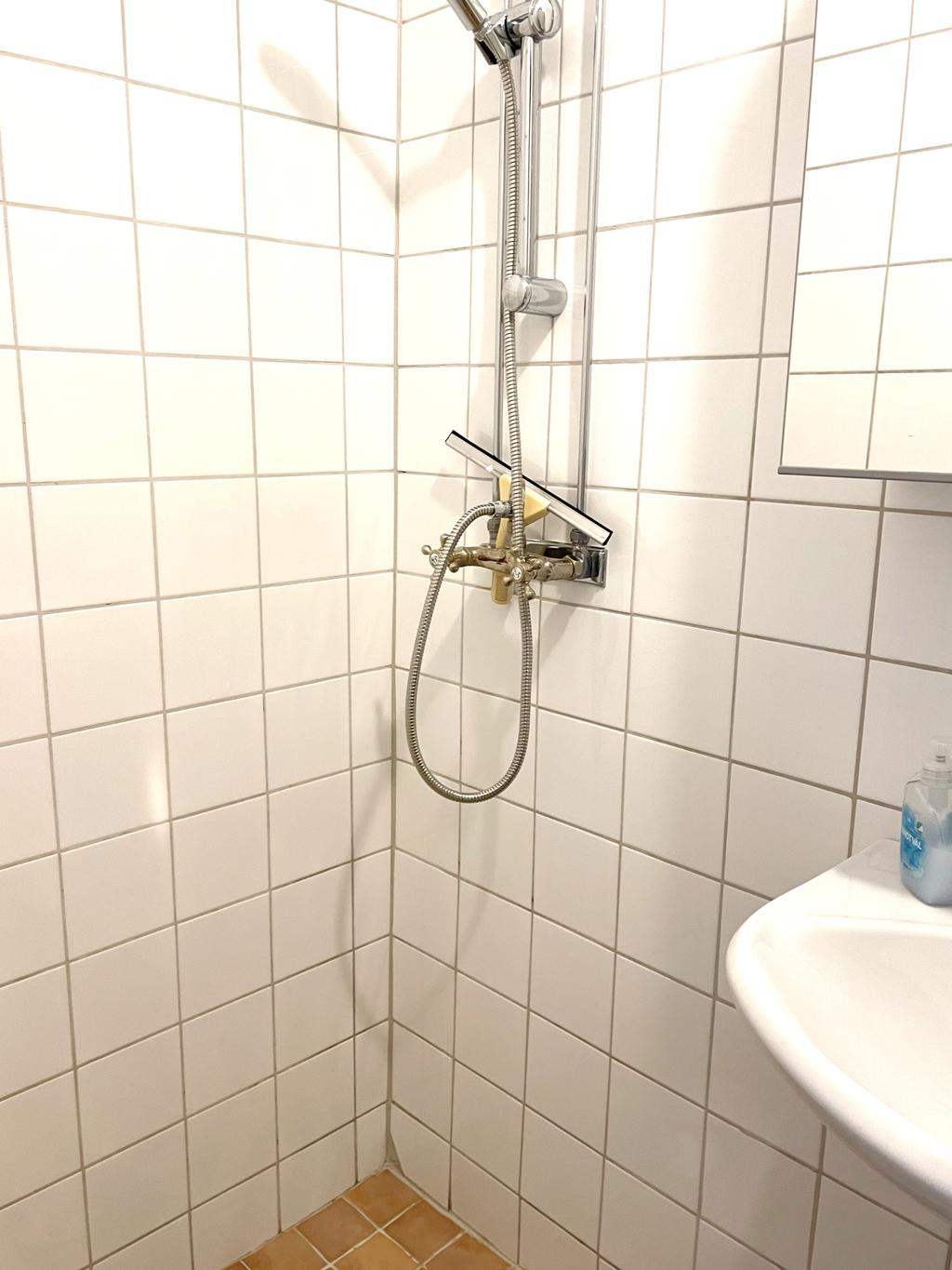 Helkaklat badrum med dusch