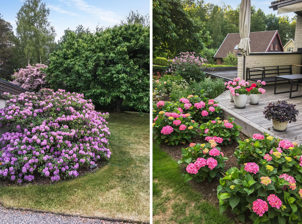 Säljarens sommarbild