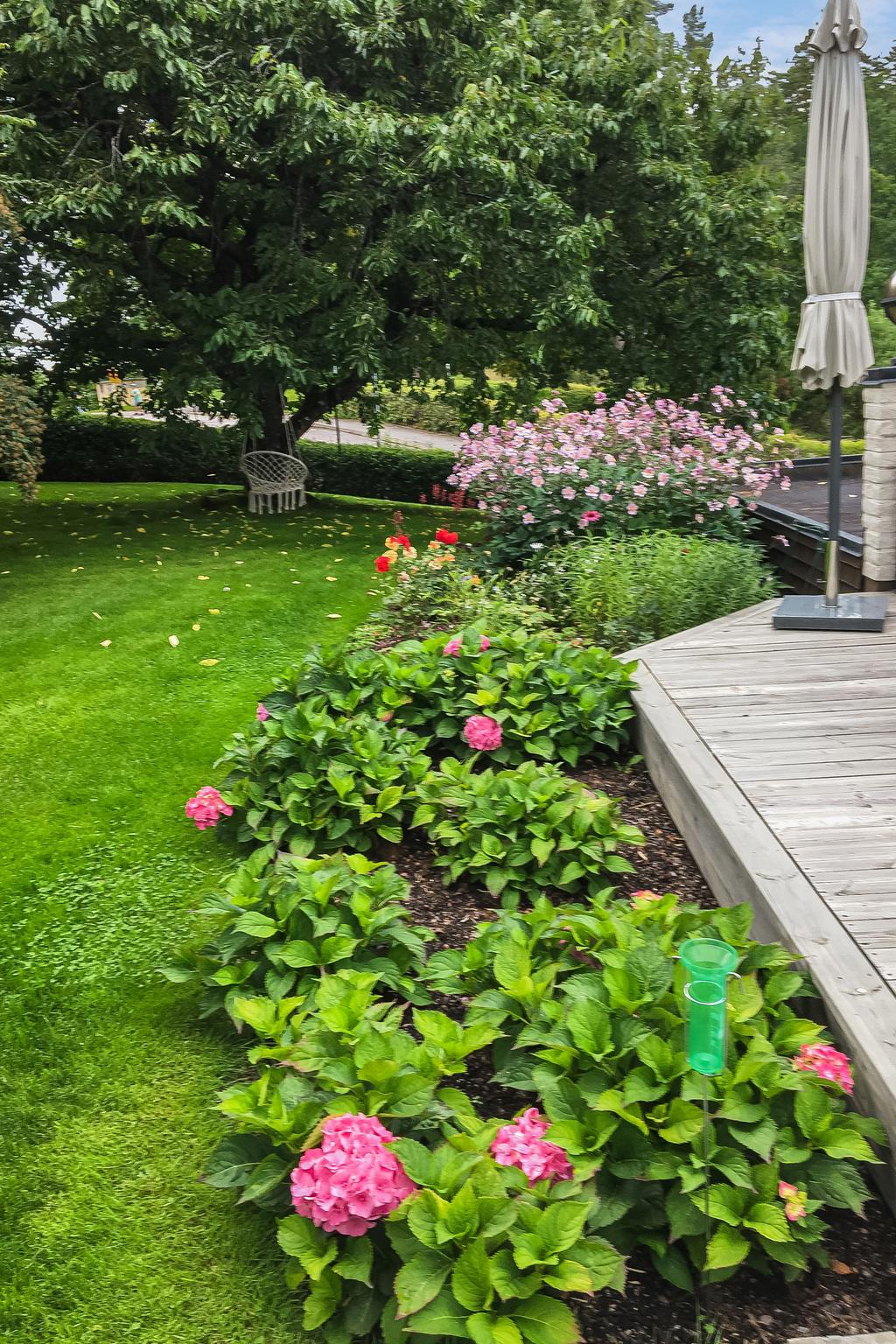 Säljarens sommarbild