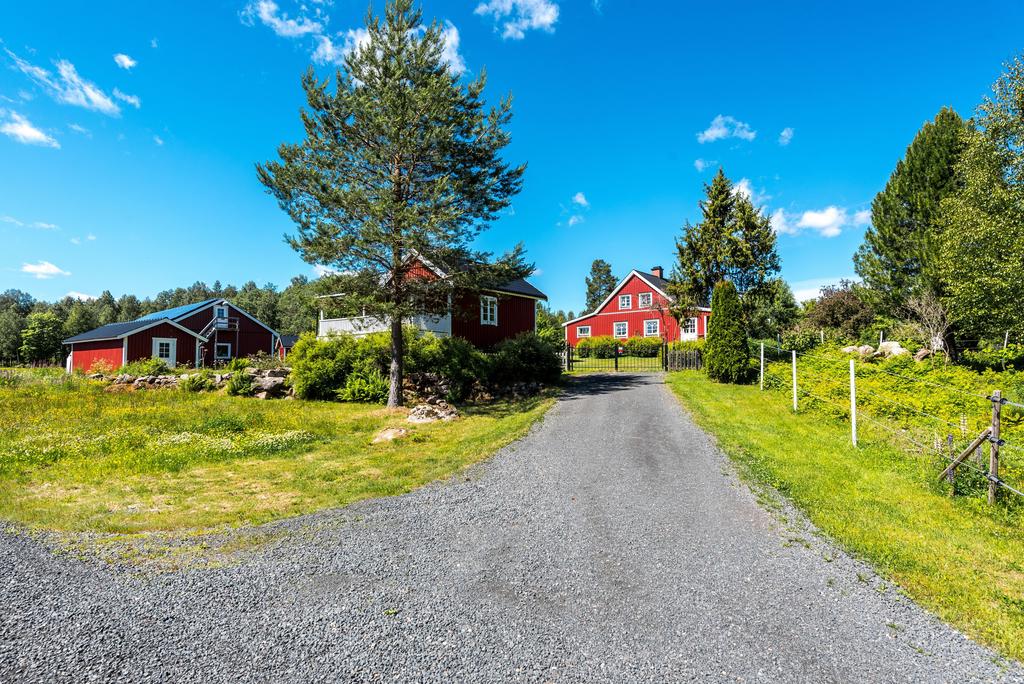 Exteriör