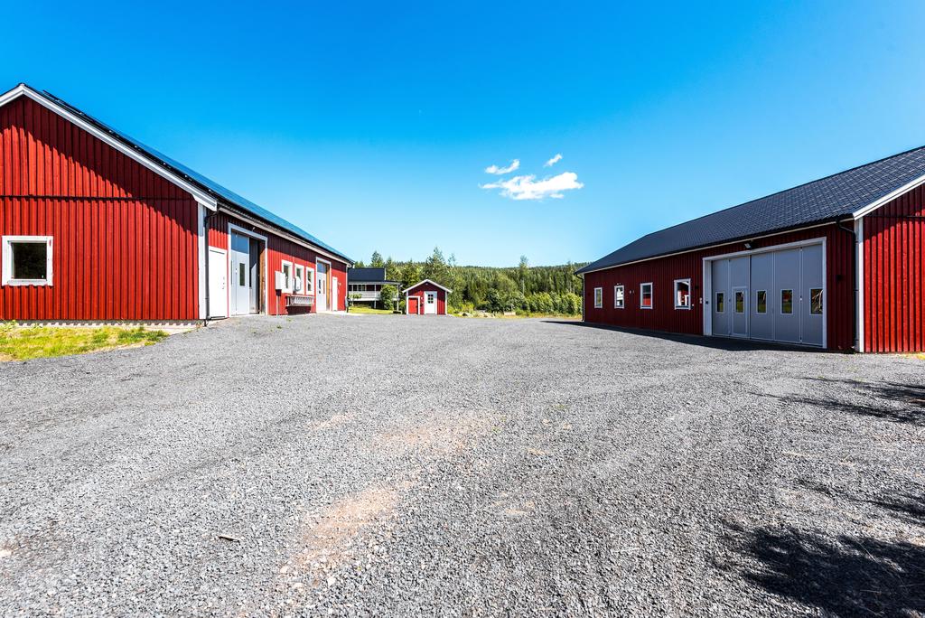 Exteriör