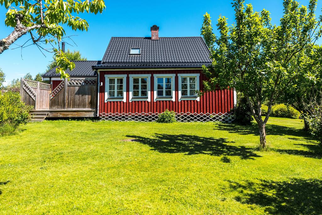 Exteriör
