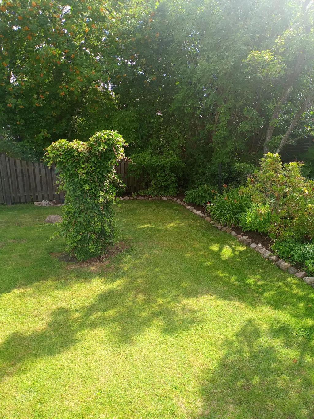 Säljarens bild