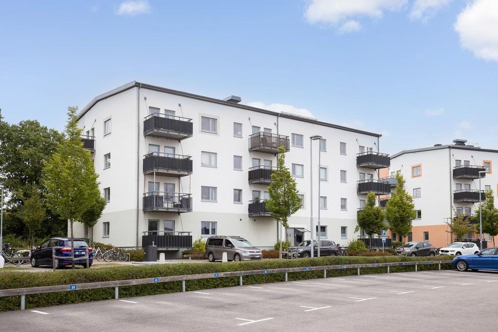 Trevliga grannar i välbyggda hus